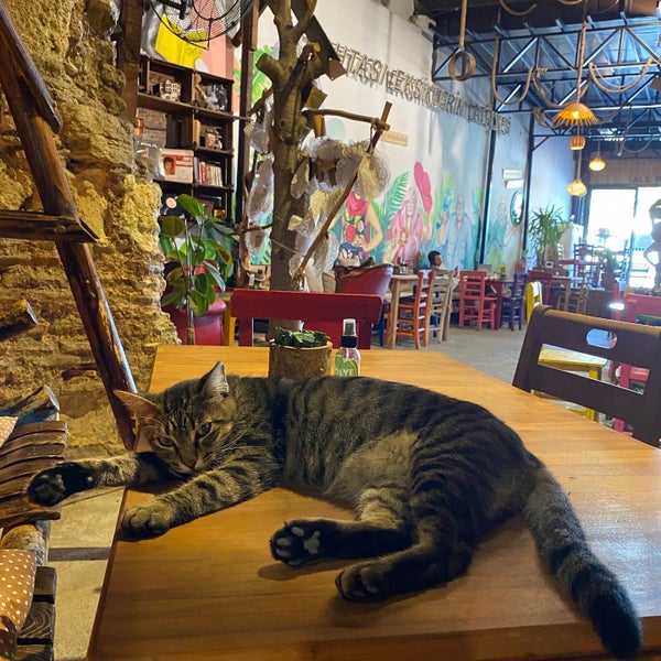 9/4/2020 tarihinde Lena K.ziyaretçi tarafından Vanilla Cafe Balat'de çekilen fotoğraf