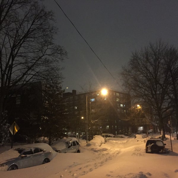 Zara Luxury Apartments & Homes Corporate Jamaica, NY