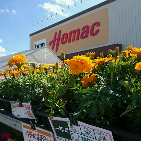 Dcmホーマック 岩見沢東店 2条東12丁目1 1 Dcmホーマック 岩見沢東店 2条東12丁目1 1