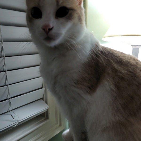 Photos at ACME Markets Swedesboro, NJ