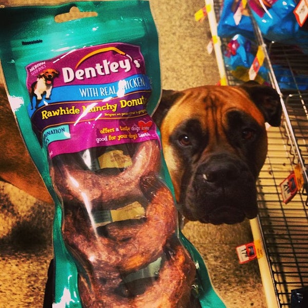 petsmart springhurst