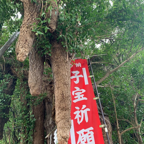 Photos At 海南神社 御神木 三浦 26 Visitors
