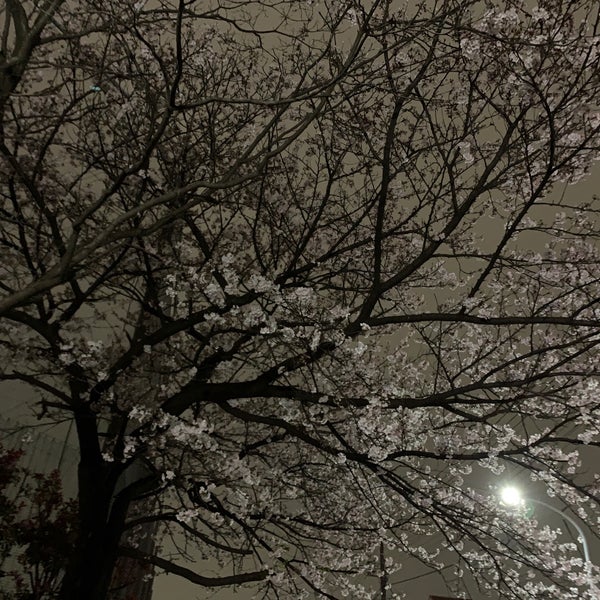 神奈川県立 横浜平沼高等学校 西区 133 Ziyaretci 神奈川県立 横浜平沼高等学校 西区 133 Ziyaretci