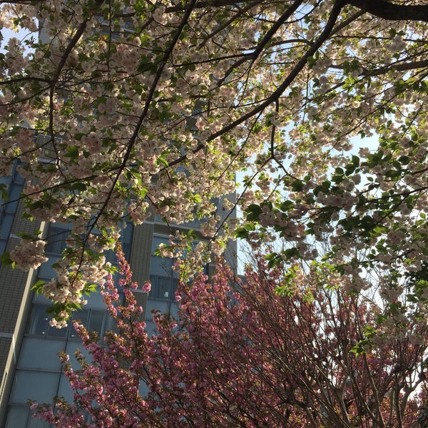 放送大学 東京足立学習センター 千住5 13 5