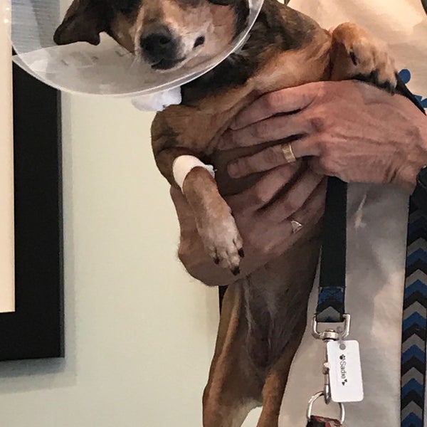 Das Foto wurde bei Animal Kind Veterinary Hospital von Regan D. am 7/18/2017 aufgenommen