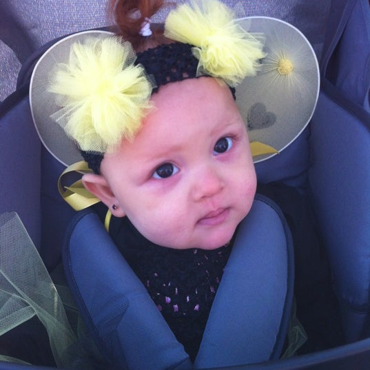 Ace Hardware Loveland, CO