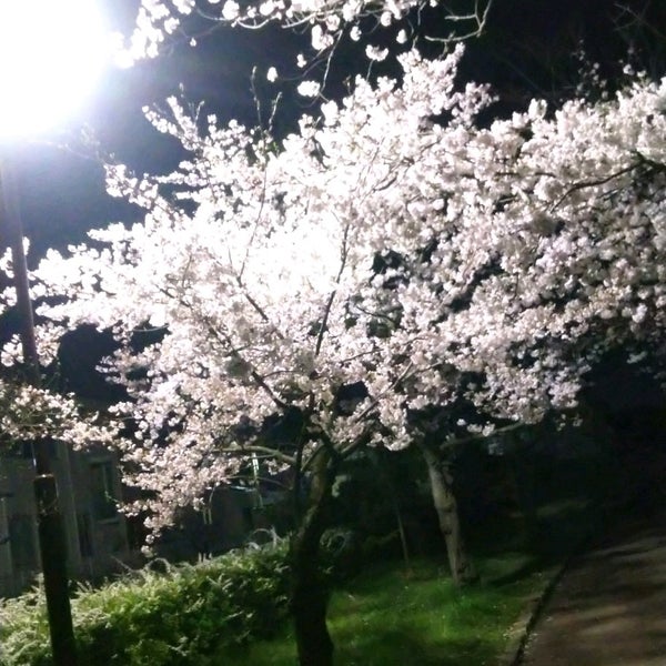 寺尾中央公園 新潟市 新潟県