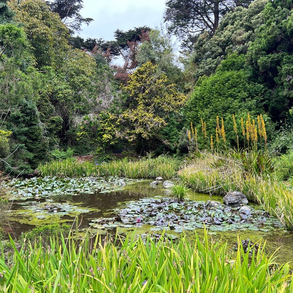 6/9/2023にMark K.がSan Francisco Botanical Gardenで撮った写真