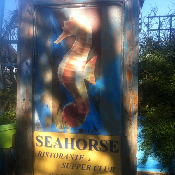 Photo prise au Sausalito Seahorse par Melody K. le10/26/2013