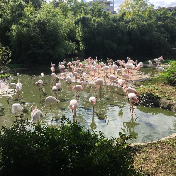 Foto scattata a Zoo Basel da AnnA K. il 10/1/2019