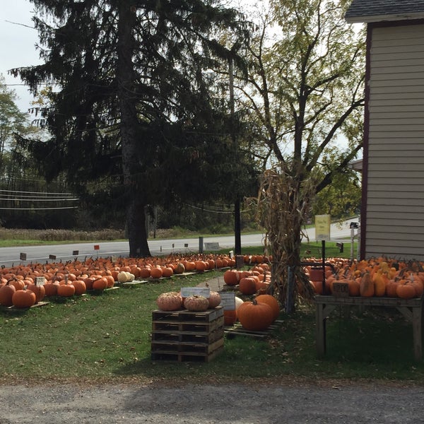 Sardinia Sardinia, NY