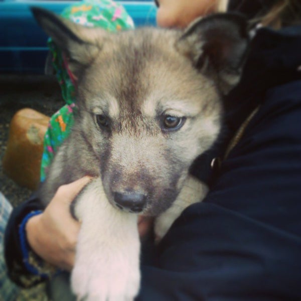 Sumpter Flea Market 1 tip from 20 visitors