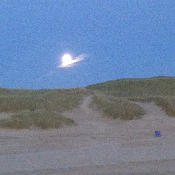 Download Stille strand castricum For iPhone