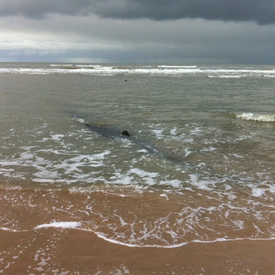 Download Stille strand castricum For iPhone Free Stille Strand Castricum