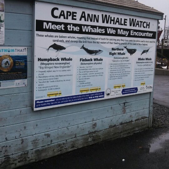 7/28/2013 tarihinde Alycia K.ziyaretçi tarafından Cape Ann Whale Watch'de çekilen fotoğraf