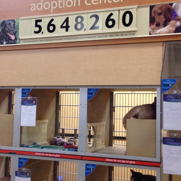 PetSmart Harrisonburg, VA