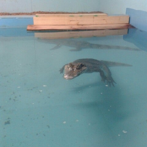 Photo taken at Maritime Reptile Zoo by Angella on 4/28/2013