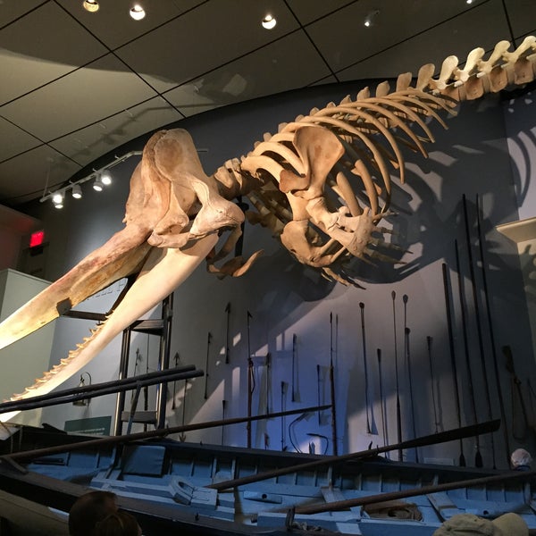 Снимок сделан в The Whaling Museum пользователем Lauren S. 8/9/2015