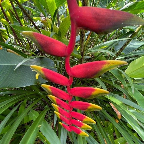 Photo taken at The Daintree Ice Cream Company by Vince ©. on 4/14/2021