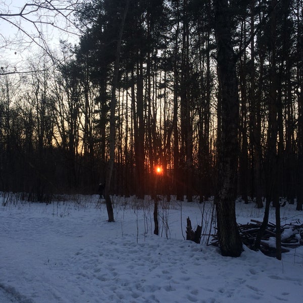 Митинский лес Митинский лес
