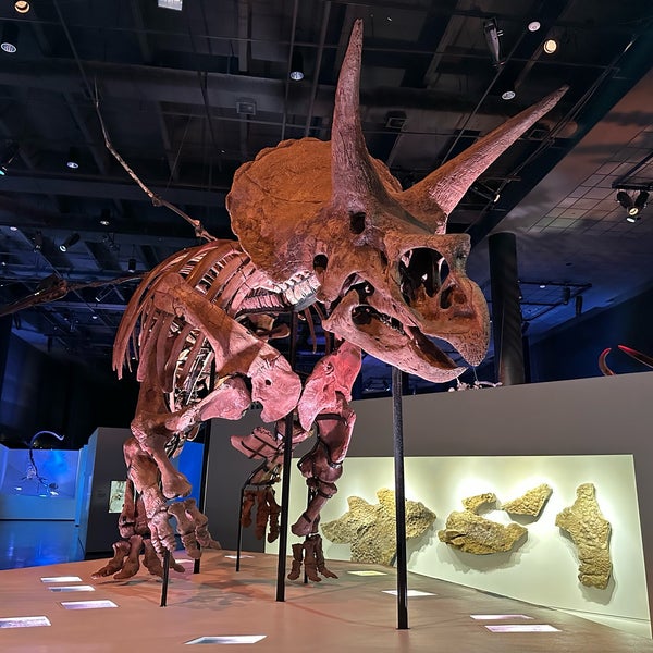 11/20/2022 tarihinde Zac M.ziyaretçi tarafından Houston Museum of Natural Science'de çekilen fotoğraf