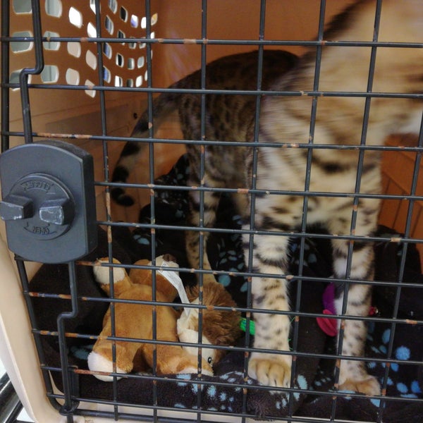 Petco University District 809 NE 45th St