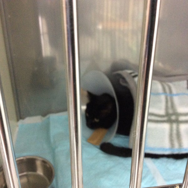 Foto Di 平成動物病院 Veterinario Foto Di 平成動物病院 Veterinario