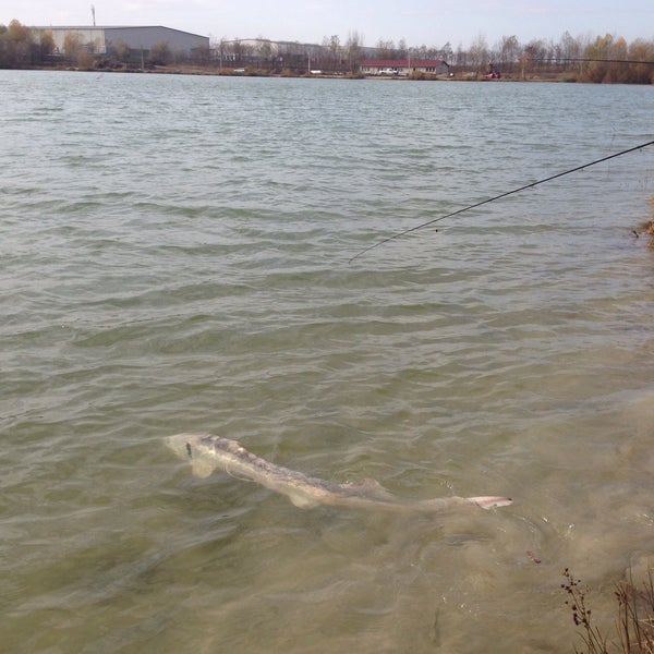 Joker horgásztó Joker horgásztó