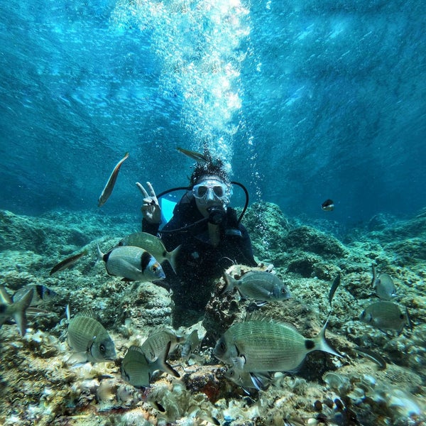 8/7/2019 tarihinde Dilara Ç.ziyaretçi tarafından Ayvalık 3 Sea Dalış Merkezi'de çekilen fotoğraf