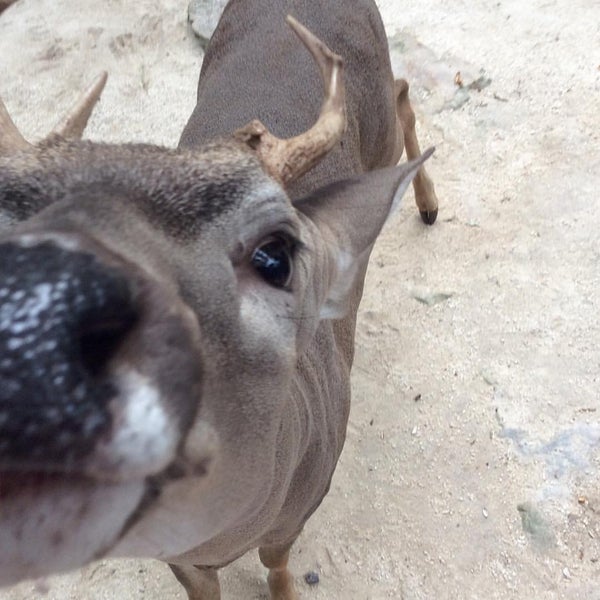 Photo taken at Crococun Zoo by Pavel R. on 9/23/2015