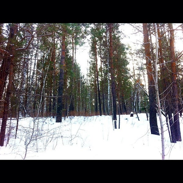 Айдашки Ачинск Стоимость Снять