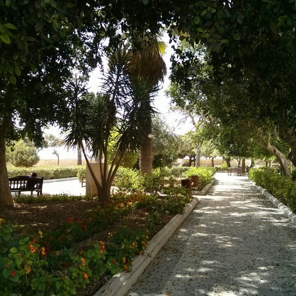 Hastings Gardens - Garden