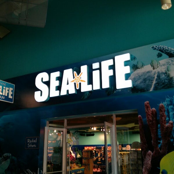 Photo taken at SEA LIFE Grapevine Aquarium by David J. on 3/23/2013