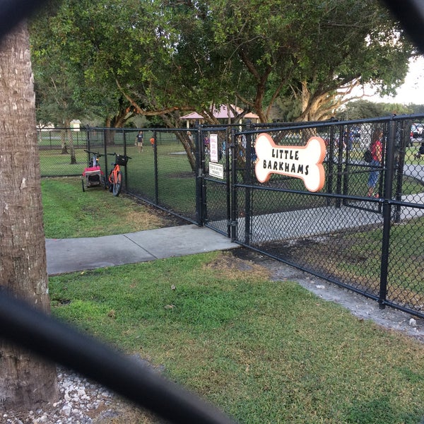 Barkham at Markham Park Dog Park in Weston