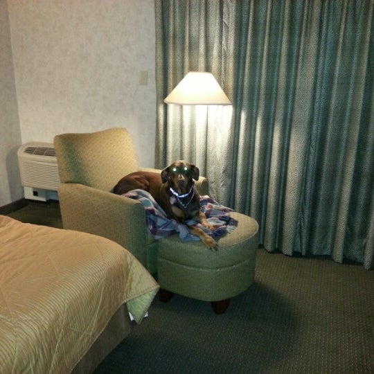 Comfort Inn Hotel In Skokie