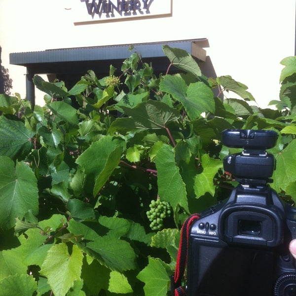 9/19/2013にGlenn F.がMermaid Wineryで撮った写真