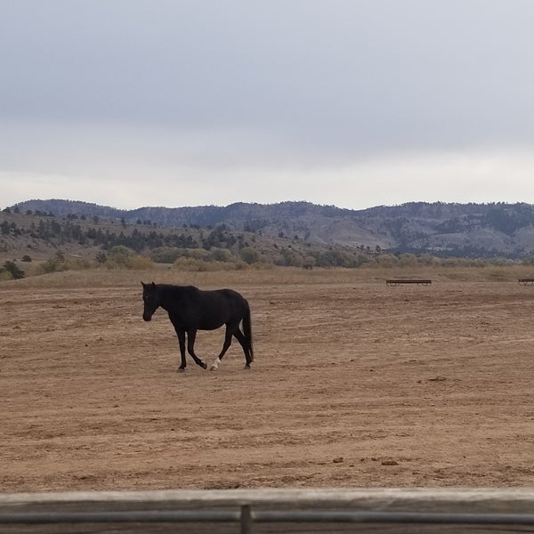 Black Hills Wild Horse Sanctuary Stable