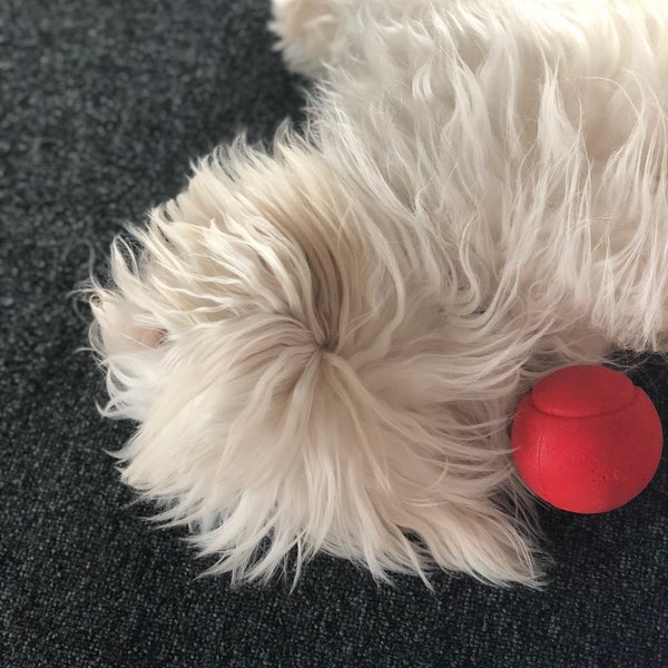 Kotlin coroutines иконка. Исламханов сулайман жамалодинович. Janiva magness blues ain't pretty 2001. Jambit. Jambit.