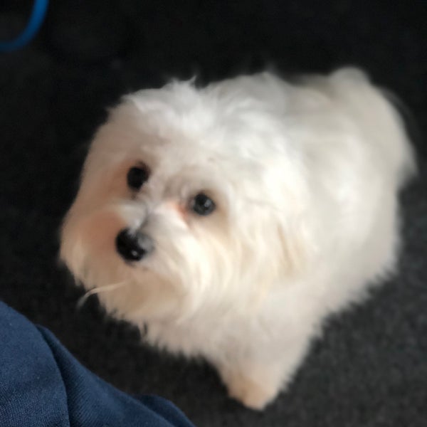 Jambit. Jambit. Jobhub. Jambit. Исламханов джалавди.