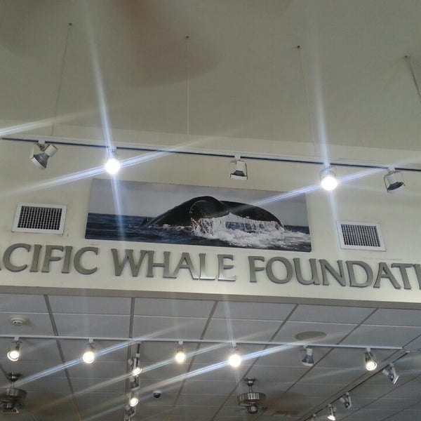 Foto tirada no(a) Pacific Whale Foundation por Joni S. em 3/19/2013