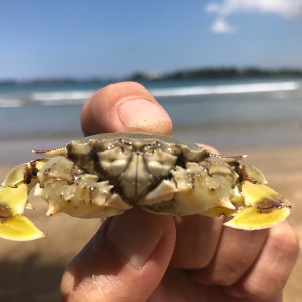 Photo taken at CoCoBay Unawatuna by Andre on 3/9/2017