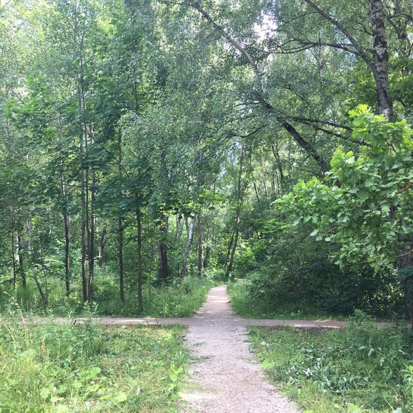 Обнинск лесопарк. Гурьяновский лес обнинск. Лесное обнинск. Гурьяновский парк обнинск. Обнинск парки гурьяновский.