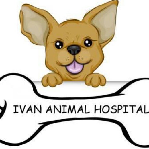 Ivan Animal Hospital Pet Service