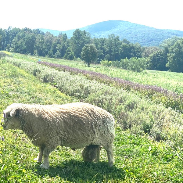 Foto scattata a Fishkill Farms da micilin o. il 8/23/2020