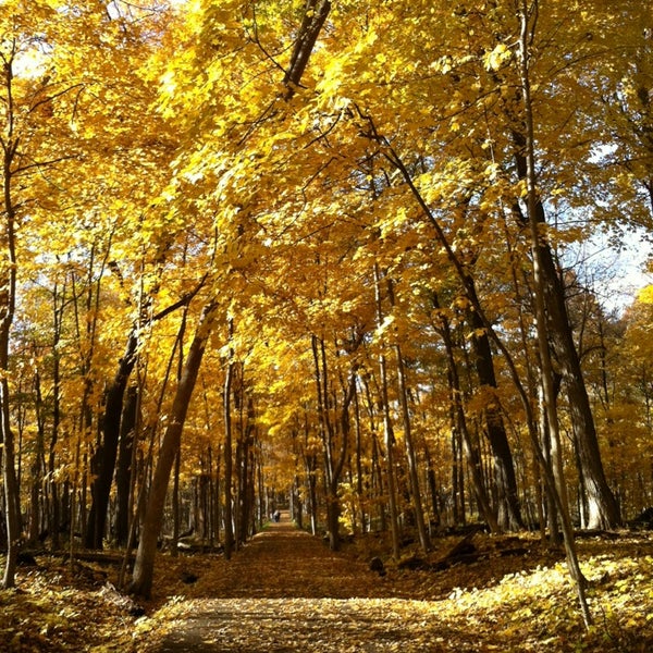 Bliss Woods Sugar Grove, IL