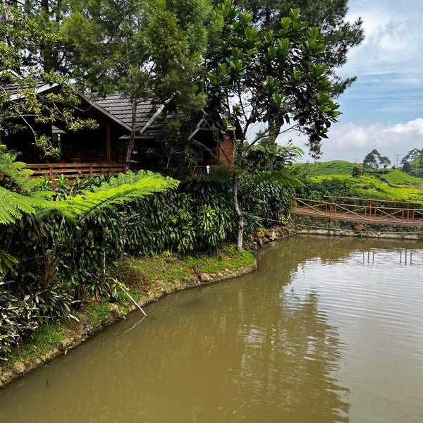 Melrimba Garden 29 tips from 2265 visitors