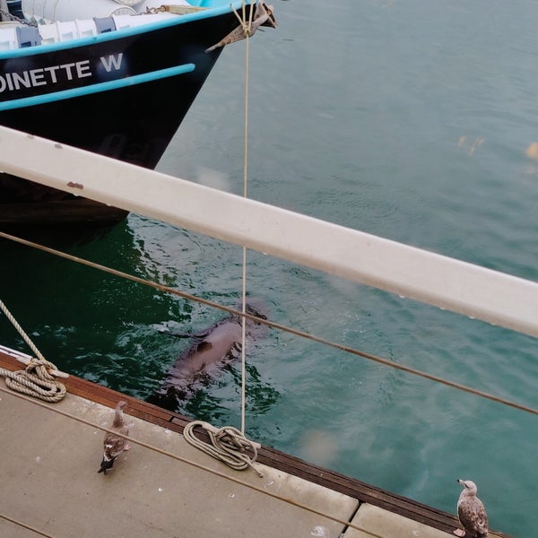 Joe's Crab Shack Seafood Restaurant in Oceanside