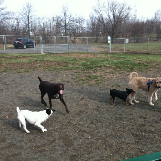 Woodbridge Dog Park 8 tips from 101 visitors