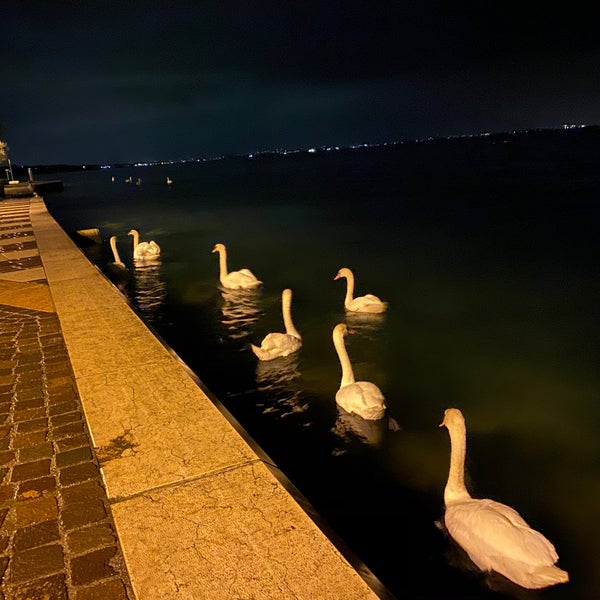 Photo taken at Lazise by Y on 11/3/2019
