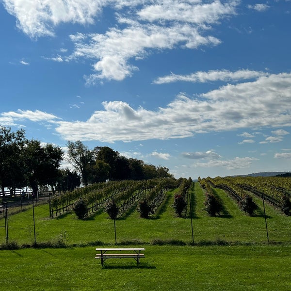 Photo prise au Stone Tower Winery par Lea G. le10/23/2021